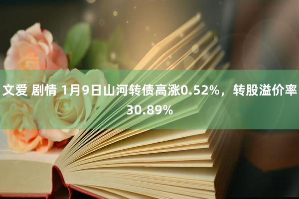 文爱 剧情 1月9日山河转债高涨0.52%，转股溢价率30.89%