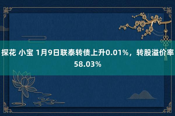 探花 小宝 1月9日联泰转债上升0.01%，转股溢价率58.03%