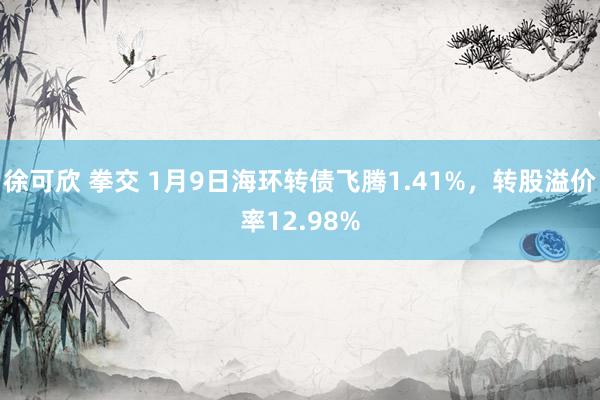 徐可欣 拳交 1月9日海环转债飞腾1.41%，转股溢价率12.98%