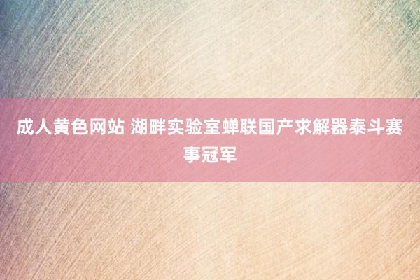 成人黄色网站 湖畔实验室蝉联国产求解器泰斗赛事冠军