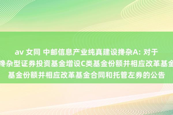 av 女同 中邮信息产业纯真建设搀杂A: 对于中邮信息产业纯真建设搀杂型证券投资基金增设C类基金份额并相应改革基金合同和托管左券的公告