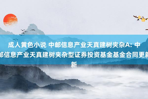 成人黄色小说 中邮信息产业天真建树夹杂A: 中邮信息产业天真建树夹杂型证券投资基金基金合同更新