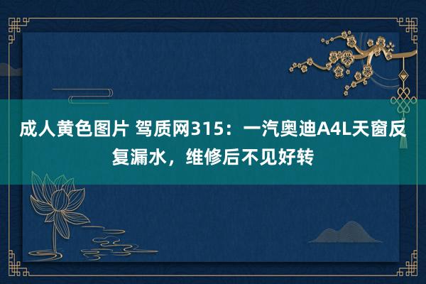 成人黄色图片 驾质网315：一汽奥迪A4L天窗反复漏水，维修后不见好转