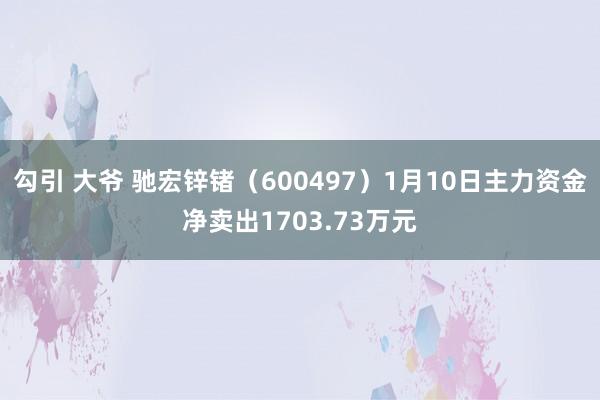 勾引 大爷 驰宏锌锗（600497）1月10日主力资金净卖出1703.73万元