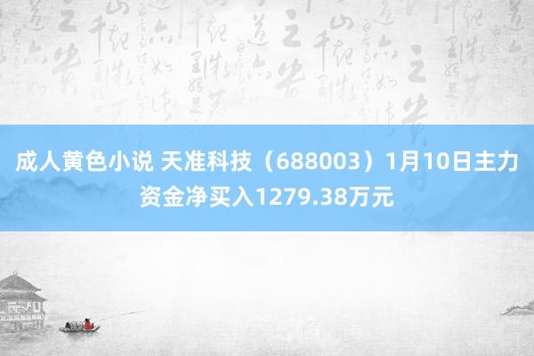 成人黄色小说 天准科技（688003）1月10日主力资金净买入1279.38万元