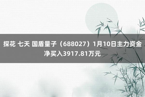 探花 七天 国盾量子（688027）1月10日主力资金净买入3917.81万元