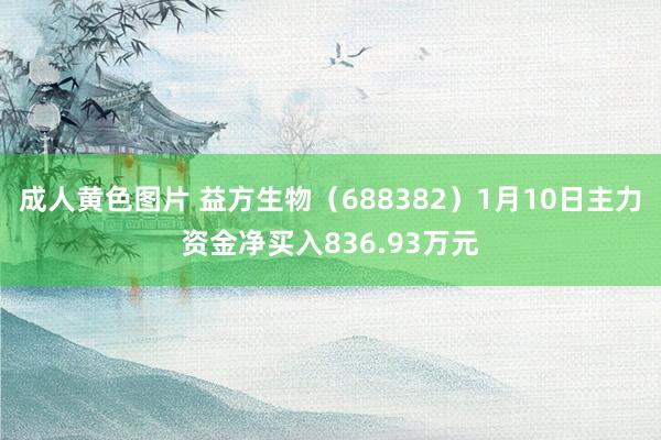 成人黄色图片 益方生物（688382）1月10日主力资金净买入836.93万元