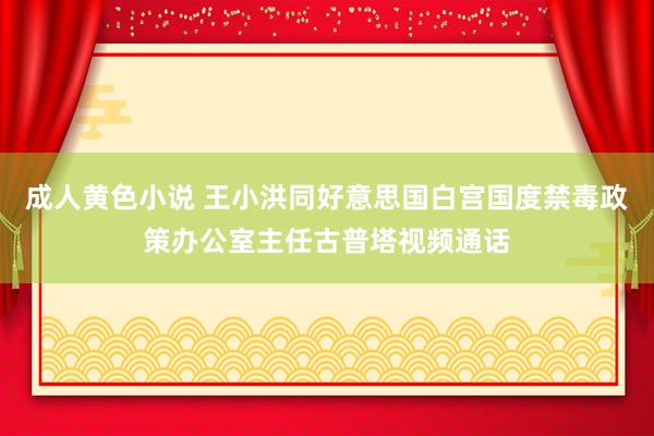 成人黄色小说 王小洪同好意思国白宫国度禁毒政策办公室主任古普塔视频通话