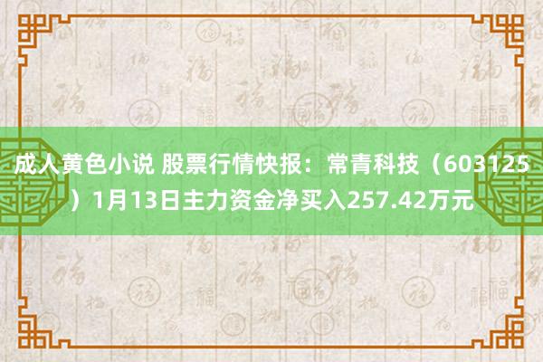 成人黄色小说 股票行情快报：常青科技（603125）1月13日主力资金净买入257.42万元