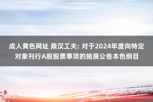 成人黄色网址 鼎汉工夫: 对于2024年度向特定对象刊行A股股票事项的施展公告本色纲目