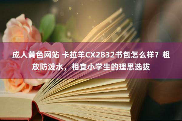 成人黄色网站 卡拉羊CX2832书包怎么样？粗放防泼水，相宜小学生的理思选拔