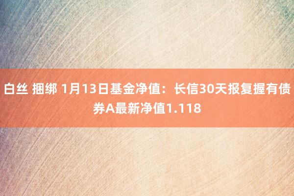 白丝 捆绑 1月13日基金净值：长信30天报复握有债券A最新净值1.118