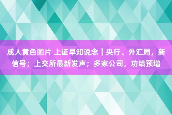 成人黄色图片 上证早知说念｜央行、外汇局，新信号；上交所最新发声；多家公司，功绩预增