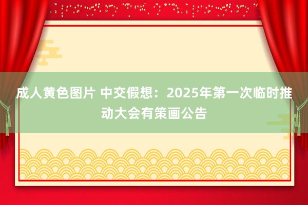 成人黄色图片 中交假想：2025年第一次临时推动大会有策画公告