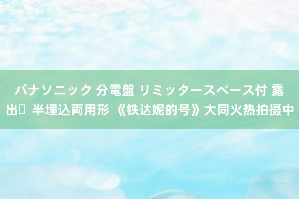 パナソニック 分電盤 リミッタースペース付 露出・半埋込両用形 《铁达妮的号》大同火热拍摄中