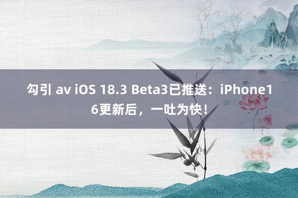 勾引 av iOS 18.3 Beta3已推送：iPhone16更新后，一吐为快！